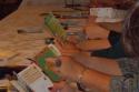 Educator pentru natura (12).JPG
